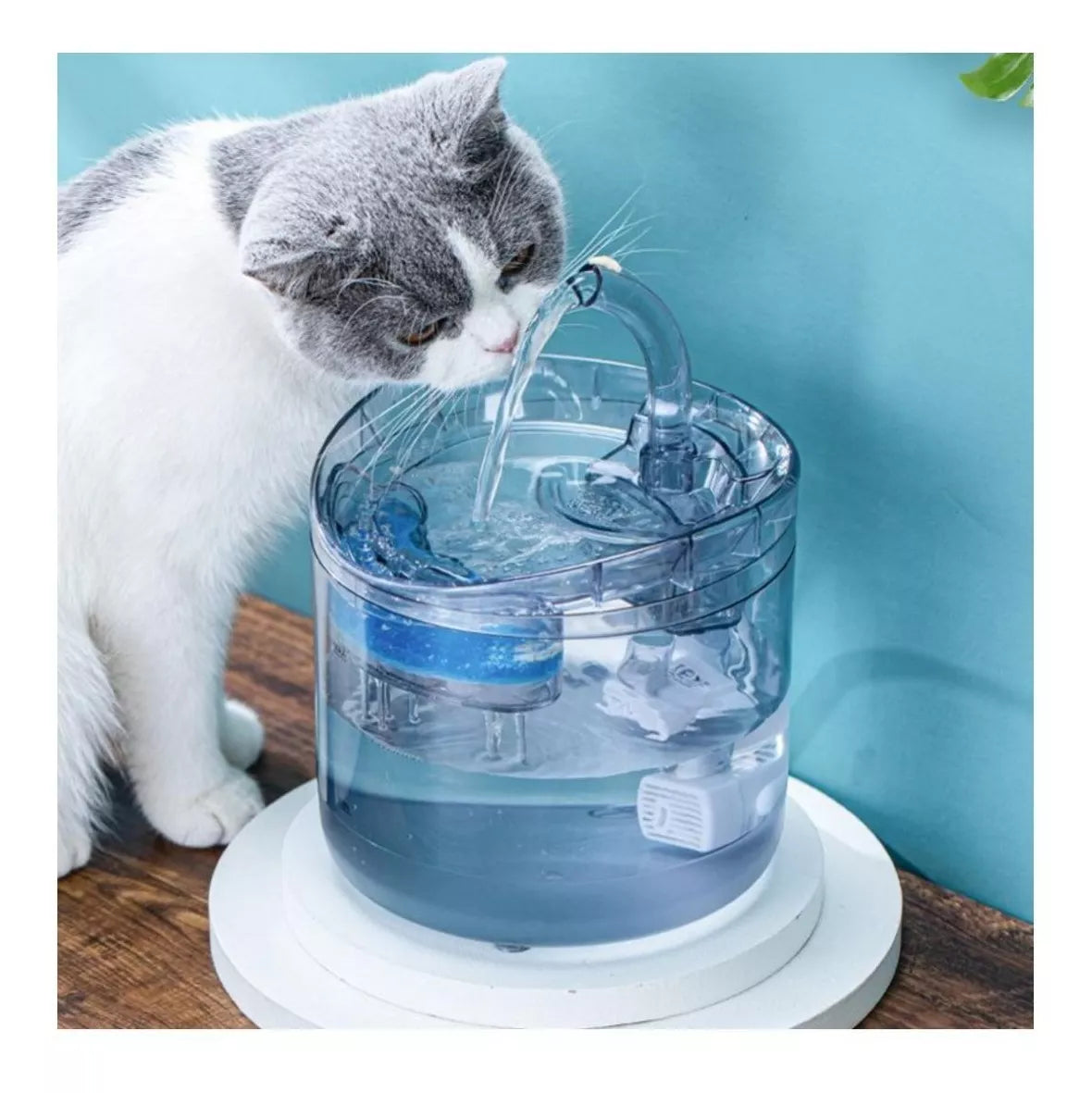 Dispensador de Agua para Mascota: ¡Mantén a tu Mascota Hidratada y Feliz!